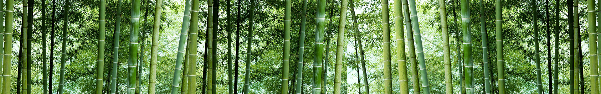 使用說(shuō)明